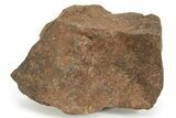 Chondrite Meteorite ( g) - Western Sahara Desert #232942-1